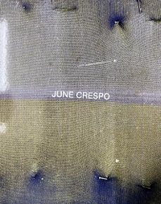 june crespo: vieron su casa hacerse campo-aimar arriola-9788445140628