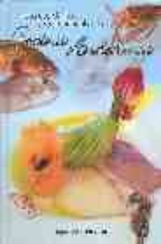 pescado, marisco y fruta tropical en la cocina andaluza-juan martinez lao-9788460927228