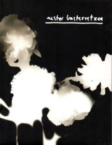 nestor basterretxea. exposicion-9788479077228