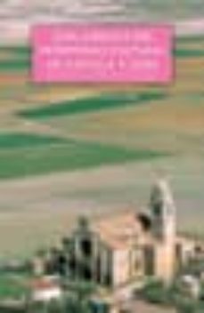 guia juridica del patrimonio cultural de castilla y leon: comenta rios a la ley 12/2002 de patrimonio cultural-javier vicente domingo-9788487528828