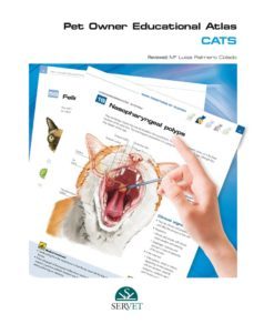 cats. pet owner educational atlas-9788494282928