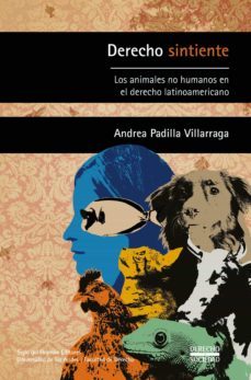 derecho sintiente. (ebook)-andrea padilla villarraga-9789586657228