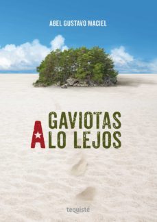 gaviotas a lo lejos (ebook)-abel gustavo maciel-9789874935328