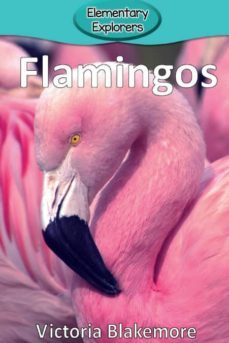 flamingos-9780998824338