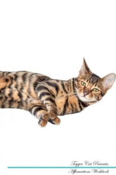 toyger cat affirmations workbook toyger cat presents-9781526977038