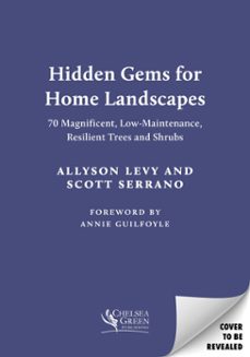 -allyson levy-scott serrano-9781645023838