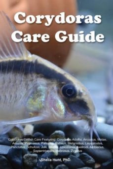 corydoras care guide corydoras catfish care featuring-9781910547038