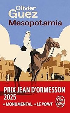 mesopotamia (frances)-9782253909538