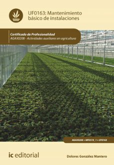 mantenimiento basico de instalaciones. agax0208 (ebook)-dolores gonzalez mantero-9788411841238