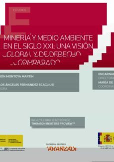 mineria y medio ambiente en el siglo xxi: una vision global y derecho comparado-9788413456638