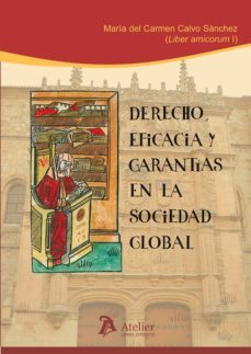 derecho, eficacia y garantias en la sociedad global-maria del carmen calvo sanchez-9788415690238