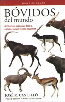 bovidos del mundo - guias de campo: antilopes, gacelas, toros, , cabras, ovejas y otras especies-jose r. castello-9788428216838