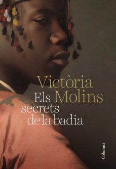 els secrets de la badia (ebook)-maria victoria molins-9788466425438
