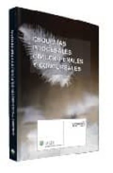 esquemas procesales civiles, penales y concursales-9788481262438