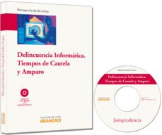 delincuencia informatica. tiempos de cautela y amparo-9788490142738