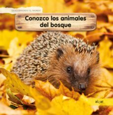 conozco los animales del bosque-celine lamour crochet-9788491422938