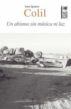 un abismo sin musica ni luz (ebook)-juan ignacio colil abricot-9789560013538