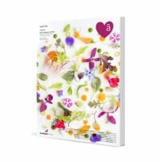 apicius nº 27-2910020211448