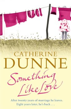 something like love (ebook)-catherine dunne-9780330541848