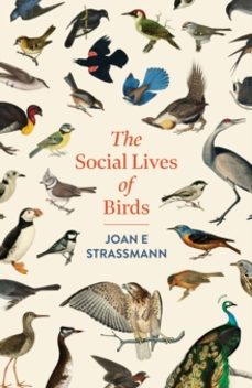 the social lives of birds-joan e. strassmann-9781035417148