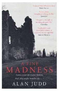 a fine madness-9781471180248