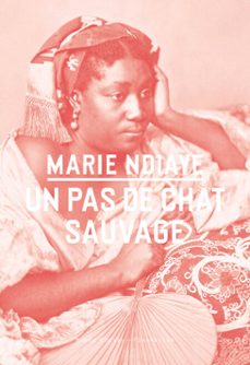 -marie ndiaye-9782081488748