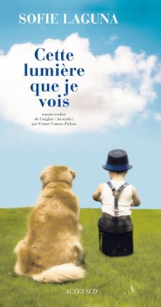 cette lumière que je vois (ebook)-sofie laguna-9782330091248