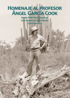 homenaje al profesor angel garcia cook (ebook)-9786075396248