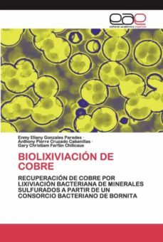 biolixiviación de cobre-9786200386748