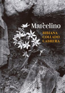 marcelino (ebook)-bibiana collado cabrera-9788410476448