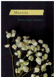 maresia-nacho lopez llandres-9788412716948
