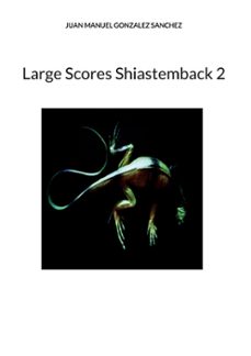 large scores shiastemback 2-juan manuel gonzalez sanchez-9788413739748