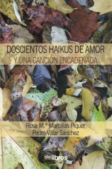 doscientos haikus de amor y una cancion encadenada-9788418208348