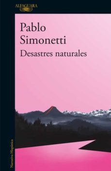desastres naturales (ebook)-pablo simonetti-9789563840148