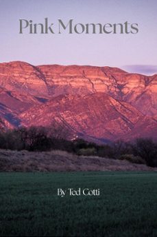 pink moments (ebook)-ted cotti-9798233156748