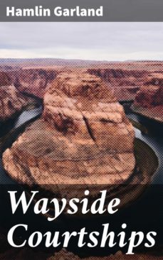 wayside courtships (ebook)-4057664584458