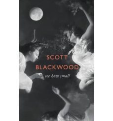 see how small-scott blackwood-9780007580958