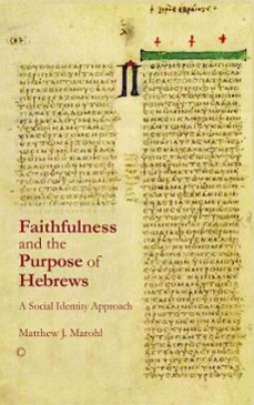 faithfulness and the purpose of hebrews (ebook)-matthew j marohl-9780227902158