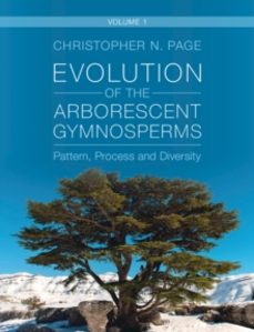 evolution of the arborescent gymnosperms: volume 1, northern hemi sphere focus-christopher n. page-9781009262958
