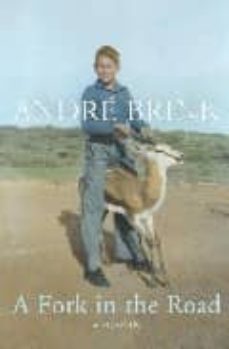 a fork in the road-andre brink-9781846552458