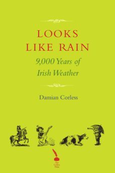 looks like rain (ebook)-damian corless-9781848898158