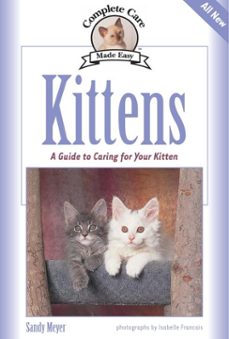 kittens (ebook)-sandy meyer-9781937049058