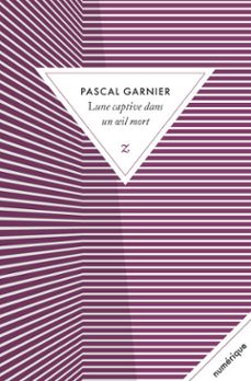 lune captive dans un il mort (ebook)-pascal garnier-9782843046858