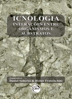 icnologia (ebook)-daniel sedorko-heitor francischini-9786555780758