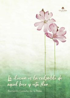 la ilusion es la culpable de aquel beso y esta flor (ebook)-9788411150958
