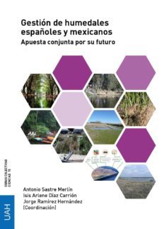 gestión de humedales españoles y mexicanos. apuesta conjunta por su futuro (ebook)-antonio sastre merlin-isis arlene diaz carrion-jorge ramirez hernandez-9788416599158