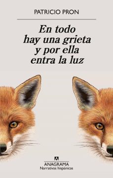 en todo hay una grieta y por ella entra la luz-patricio pron-9788433949158