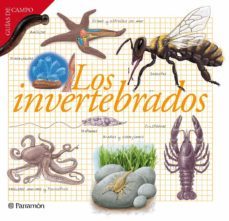 los invertebrados (ebook)-9788434299658