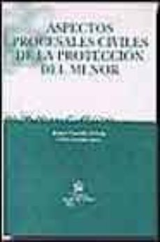 aspectos procesales civiles de la proteccion del menor-9788484560258