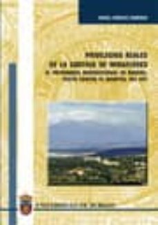 privilegios reales de la cartuja de miraflores: el patrimonio jur isdiccional de burgos. pleito contra el hospital del rey-rafael sanchez domingo-9788495211958